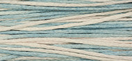 Weeks Dye Works Floss 1161 Hydrangea-5 yds