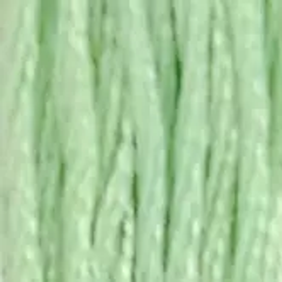 DMC  Embroidery Floss 8M 117-13 Medium Light Nile Green