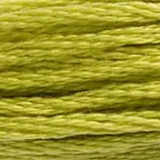 DMC  Embroidery Floss 8M 117-166 Medium Light Moss Green