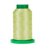 Isacord 1000m Polyester - Spring Green - 2922-6141