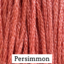 Classic Colorworks Hand Dyed Floss 5 yds Persimmon