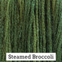 Classic Colorworks Hand Dyed Floss 5 yds Steamed Broccoli