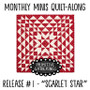 Monthly Minis QAL Quilt #1 Scarlet Star PRI-2012 PRINTED PATTERN Pattern Only W