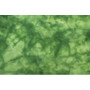 Hand Dyed Mint Green Wool