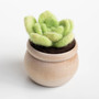 Mini Needle Felting Kits