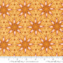 Acorn Hollow 30762 13 One Yard