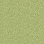 New Dawn R491579D Sage One Yard