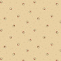 Prairie Backgrounds II R171837D Cream One Yard