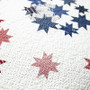 Patriotic Star PRI-2189
