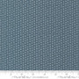 Wildflower Gatherings 49358 13 One Yard PREORDER ($13.49/yard)