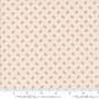Pumpkin Spice Gatherings 49292 13 One Yard