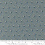 Miss Mollie 47567 19 One Yard