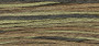 Weeks Dye Works Floss 4129 Swamp Water-5yds