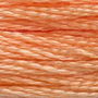 DMC  Embroidery Floss 8M 117-3825 Pale Pumpkin