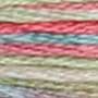 DMC Coloris Embroidery Floss 8M 517-4501 Wildflowers