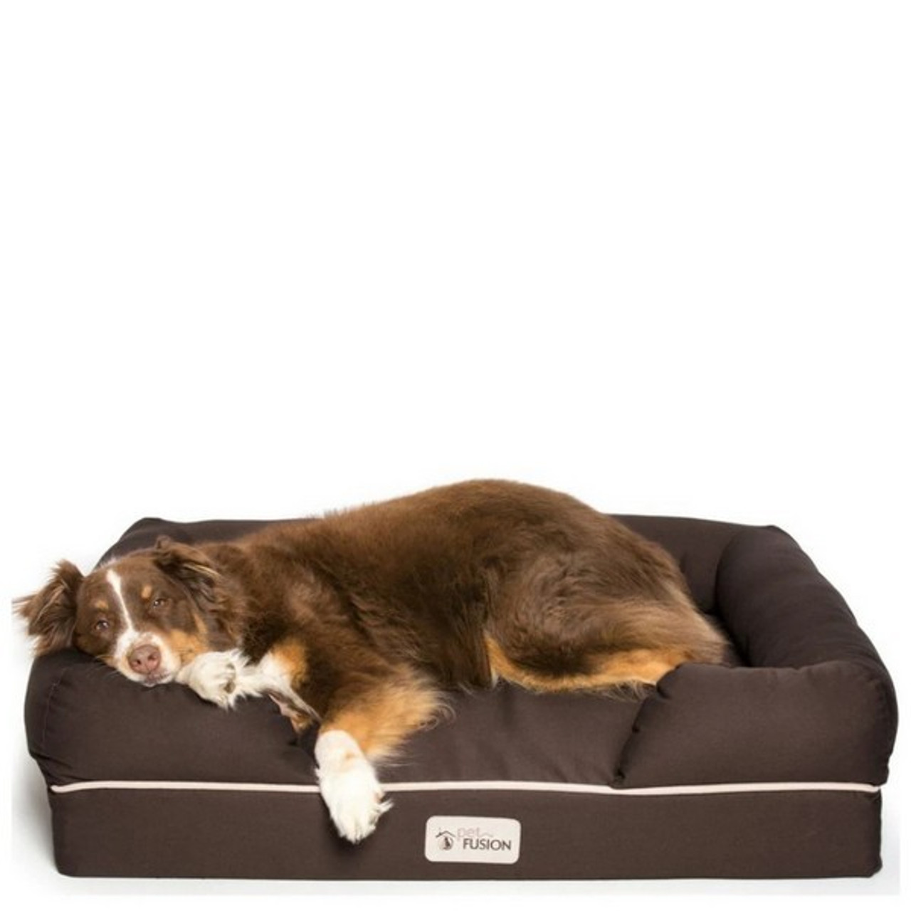 Petfusion ultimate lounge with solid memory foam dog clearance & cat bed