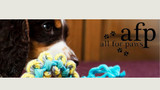Brand Feature: All For Paws