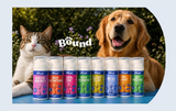 Expert Focus - Why Pet Supplementation Needs to be Easier 