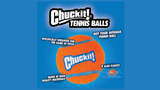New Balls Please! The Importance of Choosing Dog-Safe Tennis Balls