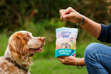 Maximising Dog Training Success with High-Protein Treats