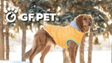 GF Pet Dog Coats & Jumpers - Warmth Without the Wrestle