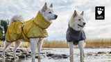 Brand Feature: Hurtta - Adventure-Ready, Weatherproof Dog Apparel & Gear