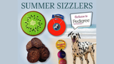 P6 Seasonal Spotlight - Summer Sizzlers