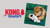 Drive Sales with KONG Tykes Comfort Toys