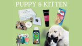 P3 Category Spotlight - Puppy & Kitten