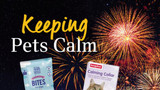 P11 Seasonal Spotlight: Keeping Pets Calm