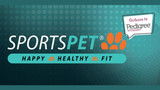 Introducing SportsPet New Seamless Team Balls.  