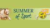 P7 Category Spotlight - Summer of Sport