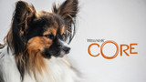 Brand Feature: Wellness Core