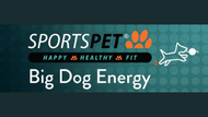 Sportspet - Why Your Customers Need More Than a "Standard" Ball