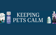 Get Ready for Fireworks Season - Stock Up on Pet Calming Essentials