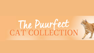 P9 Category Focus: The Purrfect Cat Collection
