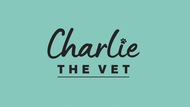 Expert Focus - A Vet's Guide to Everyday Pet Healthy - by Charlie the Vet
