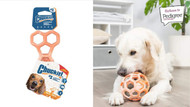 Double the Play, Double the Sales: Meet the New Chuckit! Hol-EE Range