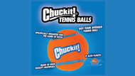 New Balls Please! The Importance of Choosing Dog-Safe Tennis Balls