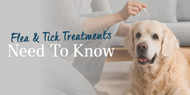 Flea & Tick Treatments - What you Need to Know