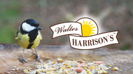 Brand Feature: Walter  Harrisons - Trusted Wild Bird Care for over 100 Years