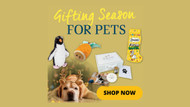 Seasonal Spotlight: Gifting Season for Pets