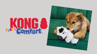 Drive Sales with KONG Tykes Comfort Toys