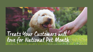 Happy National Pet Month!