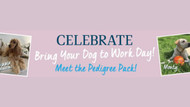 Celebrate Bring Your Dog to Work Day!