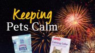P11 Seasonal Spotlight: Keeping Pets Calm