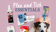 Category Spotlight - Flea & Tick Essentials