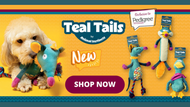 Introducing Teal Tails by Animal Instincts