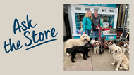 Ask the Store - Wag & Bone