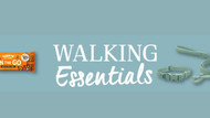 P7 Category Spotlight - Dog Walking Essentials!